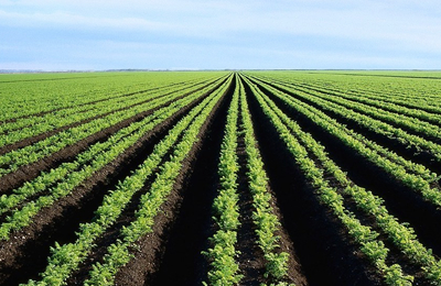 2025年9月中国苹果出口数量统计