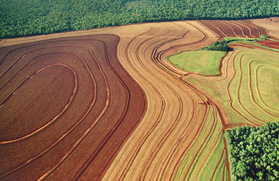 2025年7月中国（家禽的鲜、冷、冻肉及食用杂碎）分国别进口数量统计