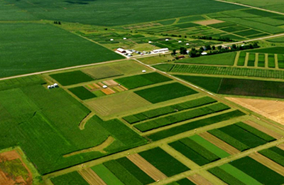 商务部：中美取消91%的关税，暂停24%关税